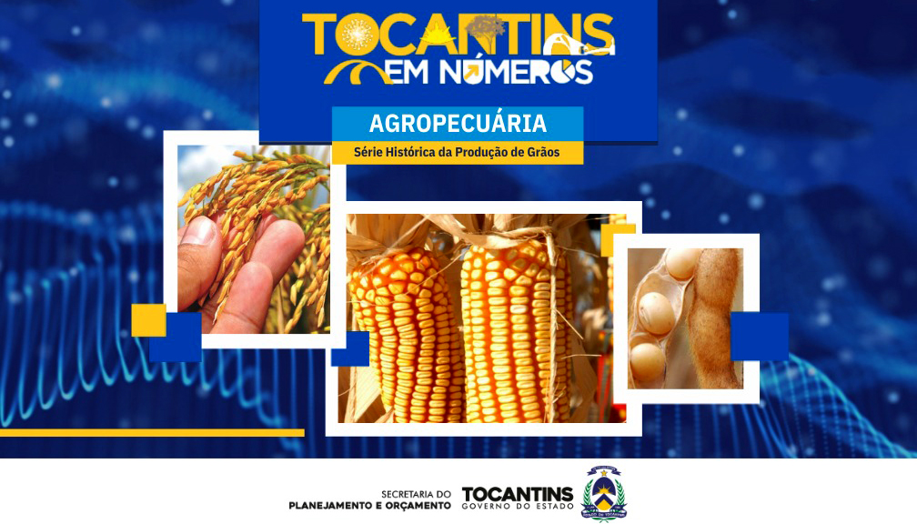 Tocantins lidera produção de grãos no Norte e colhe 9,17 milhões de toneladas