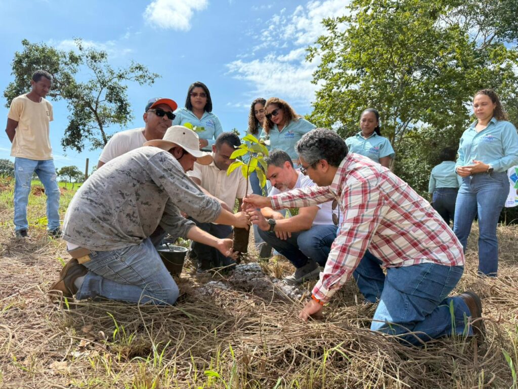 Semana da Água no Tocantins começa com apresentação do processo completo de recuperação de nascentes