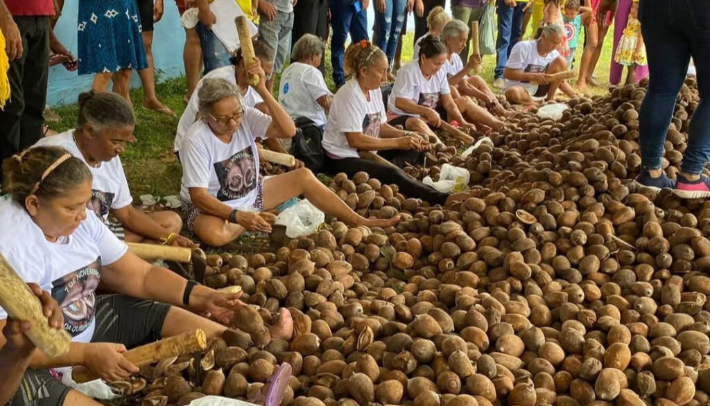 Governo do Tocantins fortalece produção do babaçu e beneficia cerca de 5 mil famílias