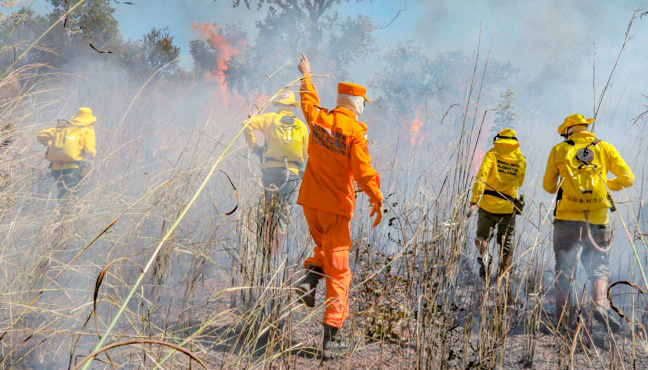 Governo do Tocantins reforça preparação de brigadistas para temporada de incêndios