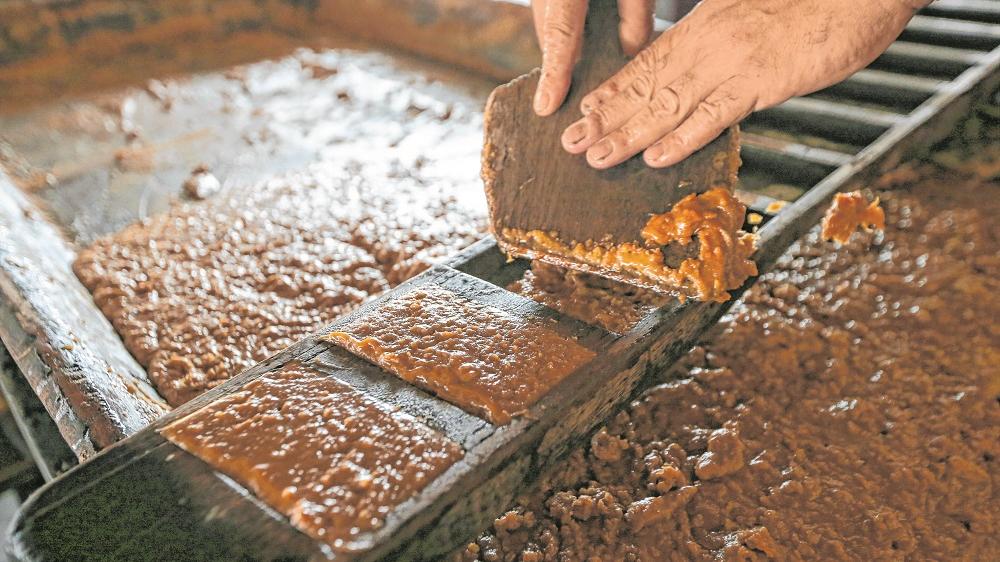 Festa da Rapadura reúne tradição, cultura e geração de renda no Quilombo do Prata