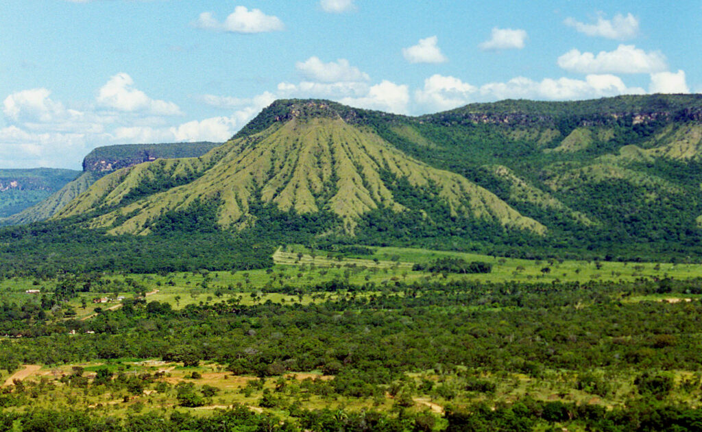 Naturatins divulga resultado final para composição do Conselho Gestor da APA Serra do Lajeado