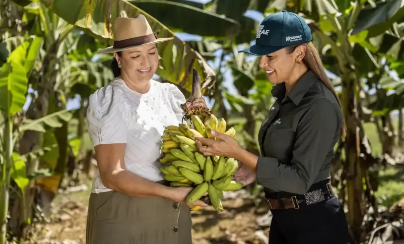Conecta Agro Colinas promove troca de conhecimento para impulsionar o agronegócio