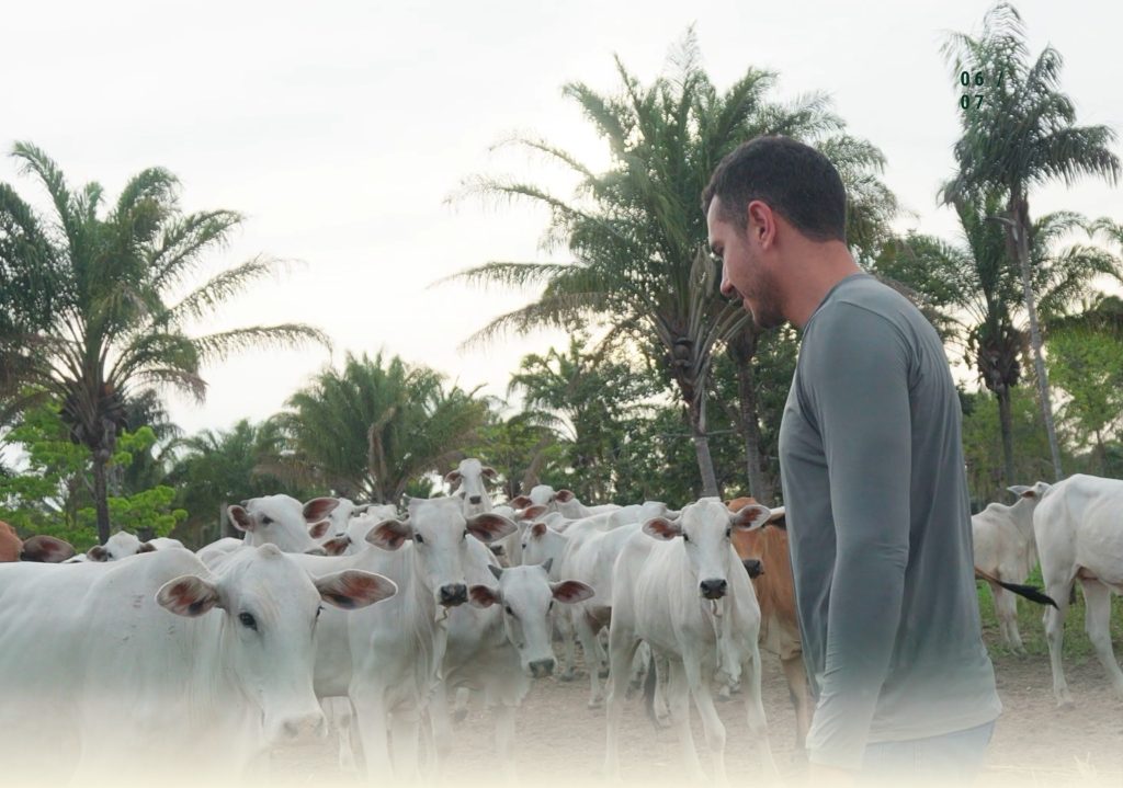 Senar realiza Dia de Campo em Araguatins com técnicas para aumentar a produtividade rural